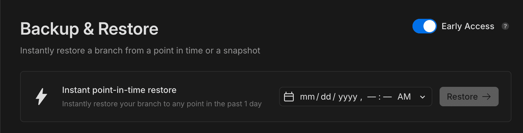 backup & restore toggle